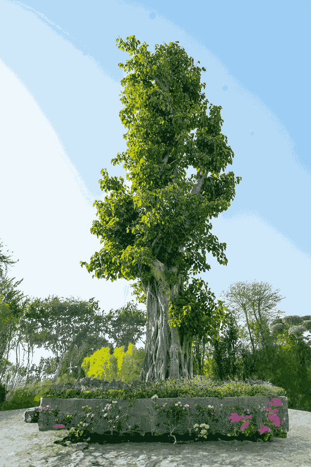 Landscape Design