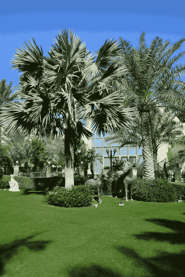 Plant Selection