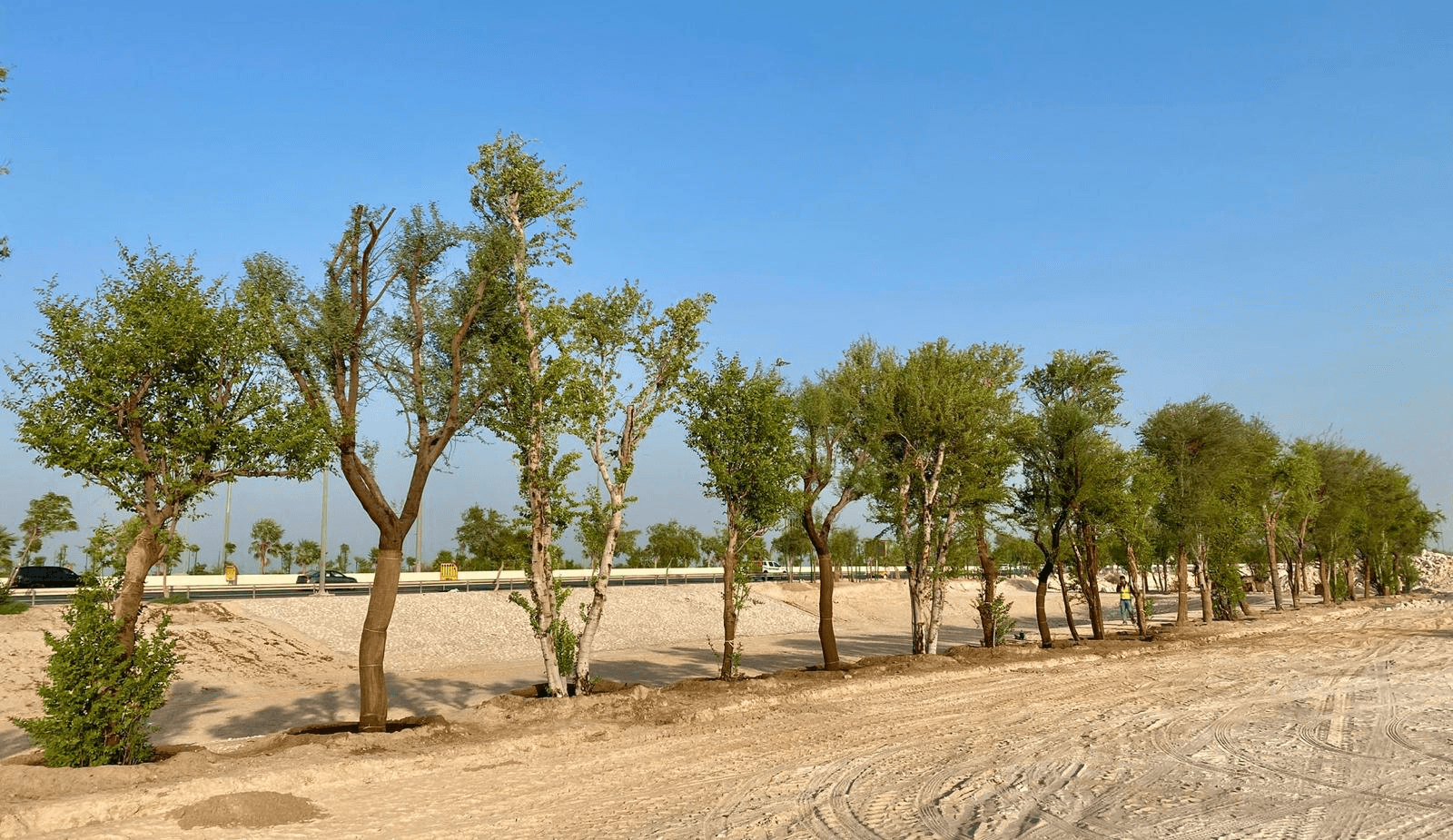 Al Khor Coastal Road - Image 1