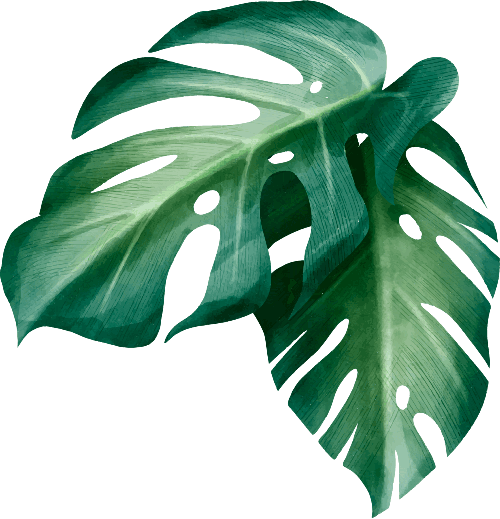 Leaf 2