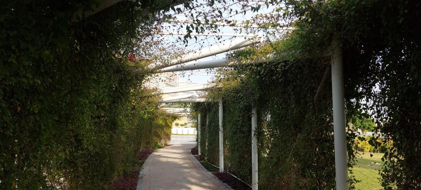 Lusail City Green Infrastructure