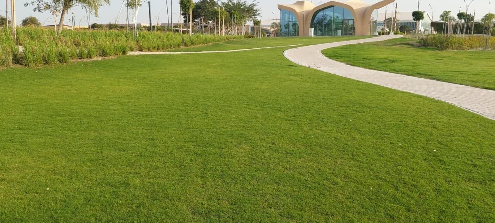 Qatar National Library Gardens