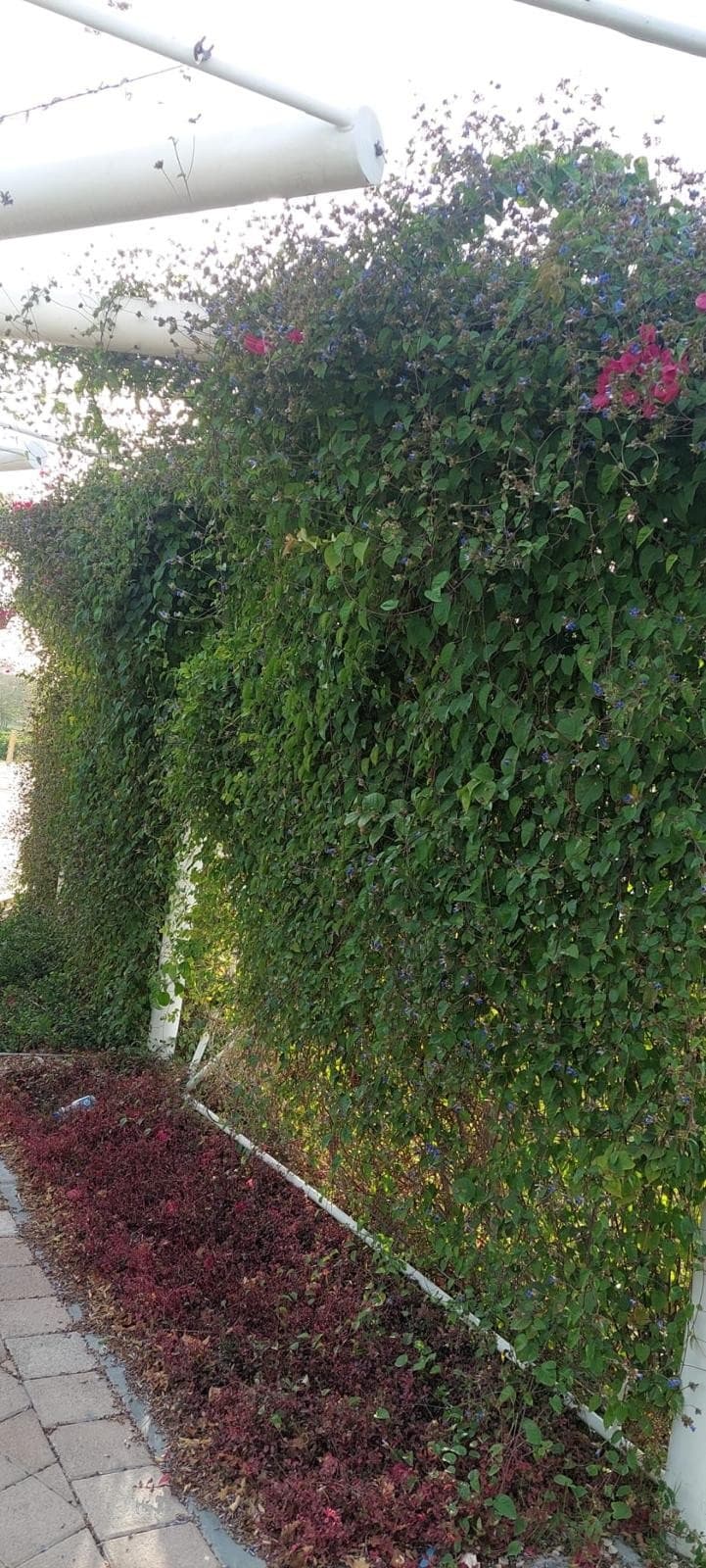 Qatar National Library - Qatar Foundation - Image 1